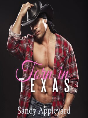 cover image of Torn in Texas